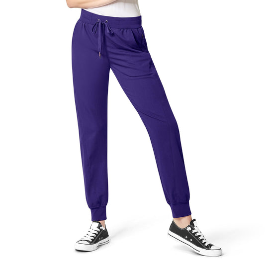 WonderWink womens Women's Cargo Jogger Medical Scrubs Pants, Grape, XX-Small US