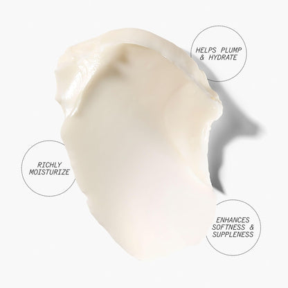 Juice Beauty Stem Cellular Anti-Wrinkle Ceramide Overnight Cream - 50 mL - Reduces Look of Deep Lines + Wrinkles - Vegan, Cruelty Free