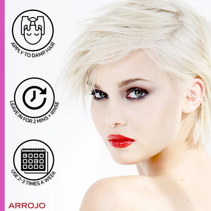 ARROJO Ultra Violet Purple Shampoo (8.5 oz) Hair Shampoo for Color Treated Hair to Eliminate Brassy & Yellow Tones Purple Shampoo for Blonde Hair w/ Vitamin E Paraben and Sulfate Free Shampoo