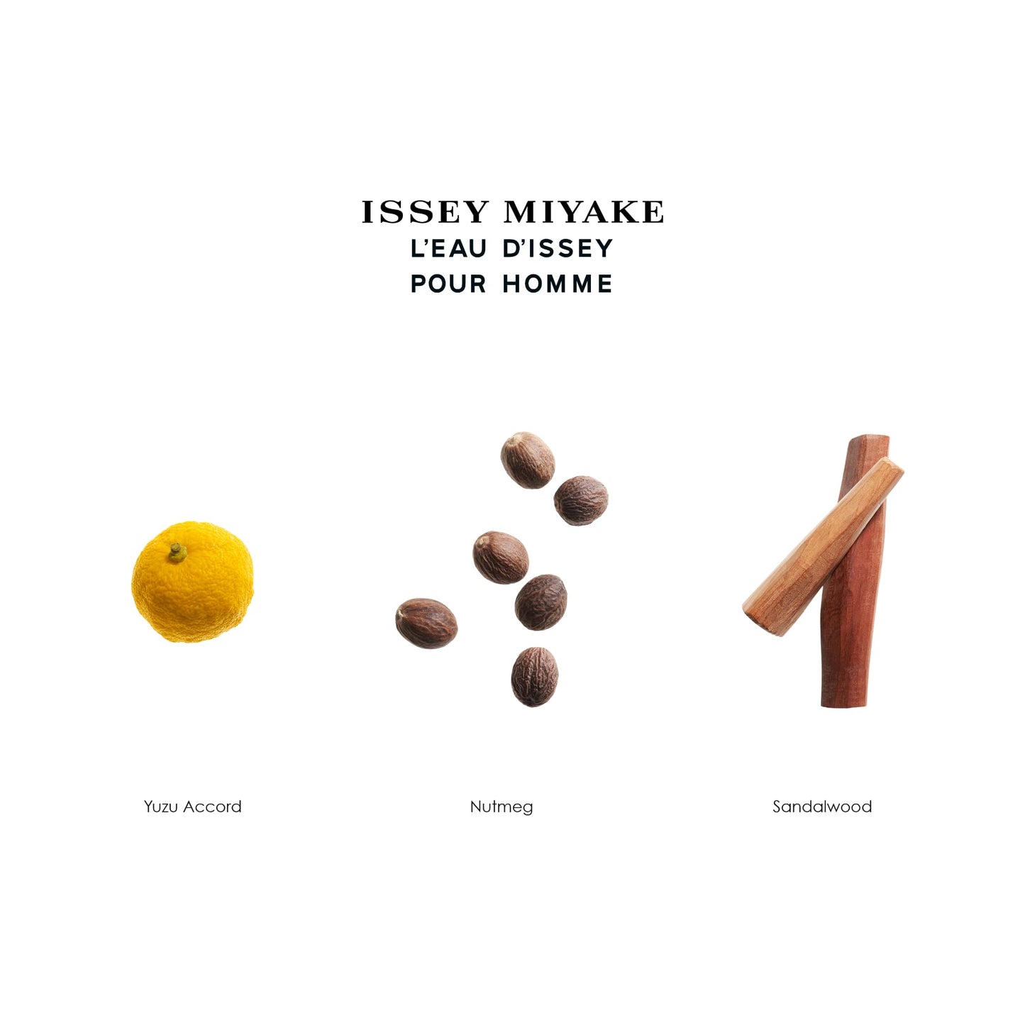 Issey Miyake L'Eau d'Issey Pour Homme After-Shave Lotion for Men - Refreshing Lotion - Softens Skin - With Notes of Yuzu, Nutmeg & Sandalwood - 3.3 oz