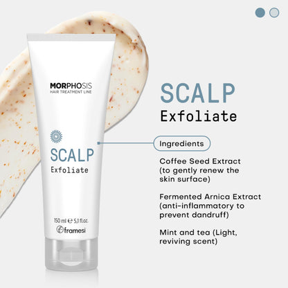 FRAMESI Morphosis Scalp Exfoliate, 5.1 fl oz, Scalp Exfoliator, Pre-shampoo Scalp Treatment