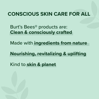 Burt's Bees Lip Balm, Ultra Conditioning with Kokum Butter, 0.15 oz (Pack of 5)