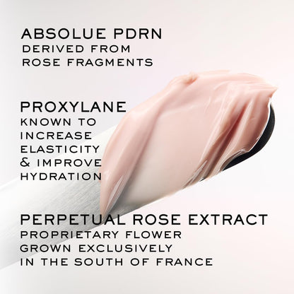 Lancôme Absolue The Soft Cream – Anti-Aging Moisturizer for Firmness, Hydration, All Skin Types: Targets Dullness, Dryness, Uneven Texture, Refillable