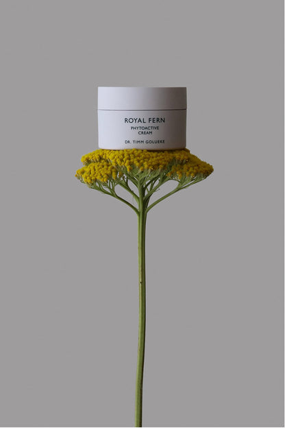 ROYAL FERN DR TIMM GOLUEKE
