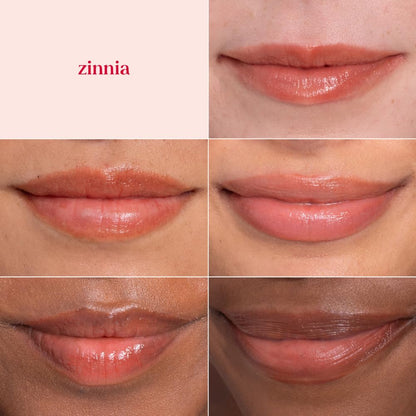 Burts Bees 100% Natural Origin Tinted Lip Balm, Zinnia with Shea Butter & Botanical Waxes - 1 Tube