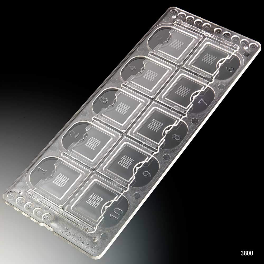 Globe Scientific 3800 Quick-Read Precision Grid Urinalysis Slide with Counting Grid, Pack of 100