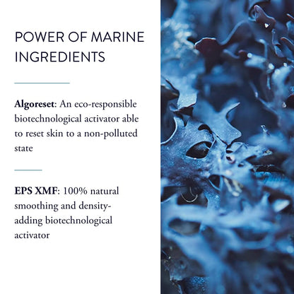 Phytomer Pionnière XMF Reset Anti-Aging Eye Cream | Under Eye Hydrating Cream to Smooth Fine Lines and Wrinkles | Natural Advanced SkinCare | 15ml