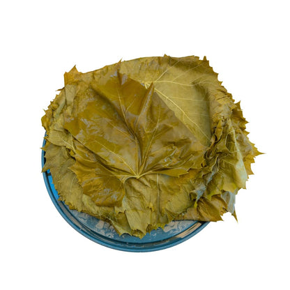 Sanniti Grape Leaves in Brine | Net Weight 32 oz | Drained Weight 1 lbs