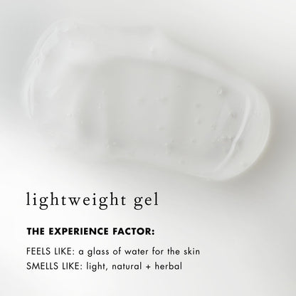 Bioelements Beyond Hydration - 2.5 fl oz - Non-Greasy Gel Facial Moisturizer for Oily Skin - Includes Vitamin B5 & Essential Oils - Vegan, Gluten Free - Never Tested on Animals
