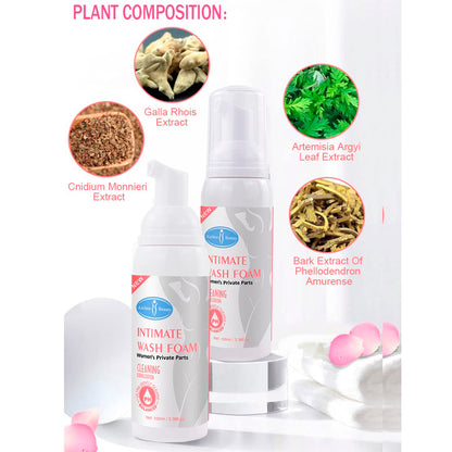 AICHUN BEAUTY Wash Foam Ultra Gently Cleaning Sterilization Vaginal PH Balanced Women's Private Parts Removing Odor 100ml / 3.38fl.oz