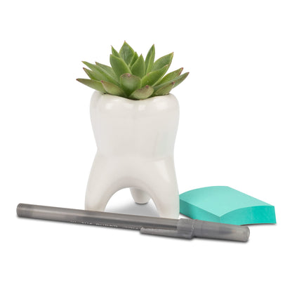 Practicon 9099210 Mini Molar Vase, Pack of 4