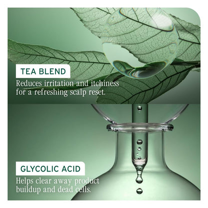 Biolage Scalp Sync Purifying Concentrate - Exfoliating & Clarifying Dry Scalp Treatment, Refreshing & Reinvigorating, Fermented Tea Blend & Glycolic Acid