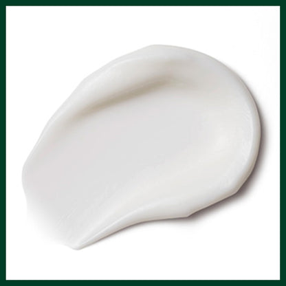 Aveda Nutriplenish Treatment Masque Light Moisture | Conditioning Mask for Fine to Medium Dry Hair | Organic Pomegranate Oil, Coconut Oil, Mango Butter | 98% Naturally Derived*