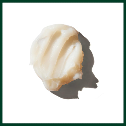 Aveda Brilliant Anti-Humectant Pomade | Helps Prevent Frizz & Flyaways | Protects Against Humidity | for Curly & Coily Hair Types | Castor Oil and Rice Bran | Jasmine, Rose, Clove Aroma | 2.5 Ounce