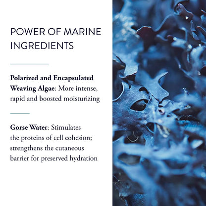Phytomer Hydrasea Rehydrating Face Moisture Mask | Intense, Effective Hydrating Cream to Restore Moisture & Relieve Dry Skin | Creamy, Lightweight Moisturizing Face Mask | 50ml