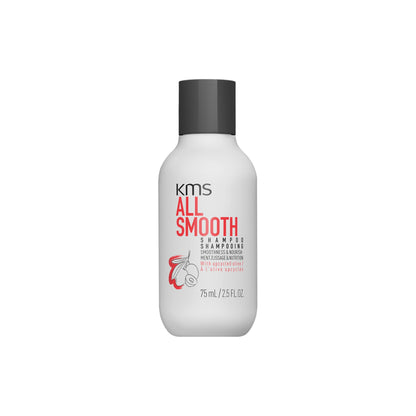 AllSmooth Shampoo