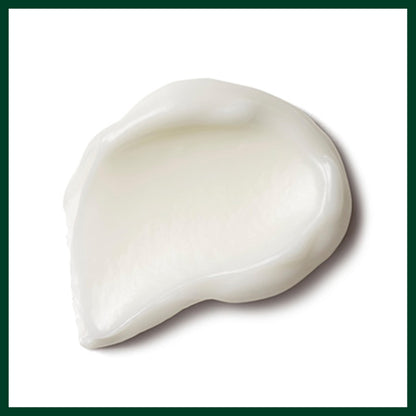 Aveda Nutriplenish Treatment Masque Deep Moisture | Intense Deep Conditioning Mask for Medium to Thick Dry Hair | Organic Pomegranate Oil, Coconut Oil, Mango Butter | 96% Naturally Derived*