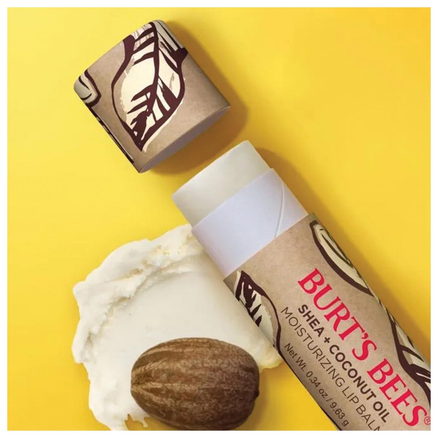 Burts Bees Shea & Coconut Oil Lip Balm, 0.34 Oz