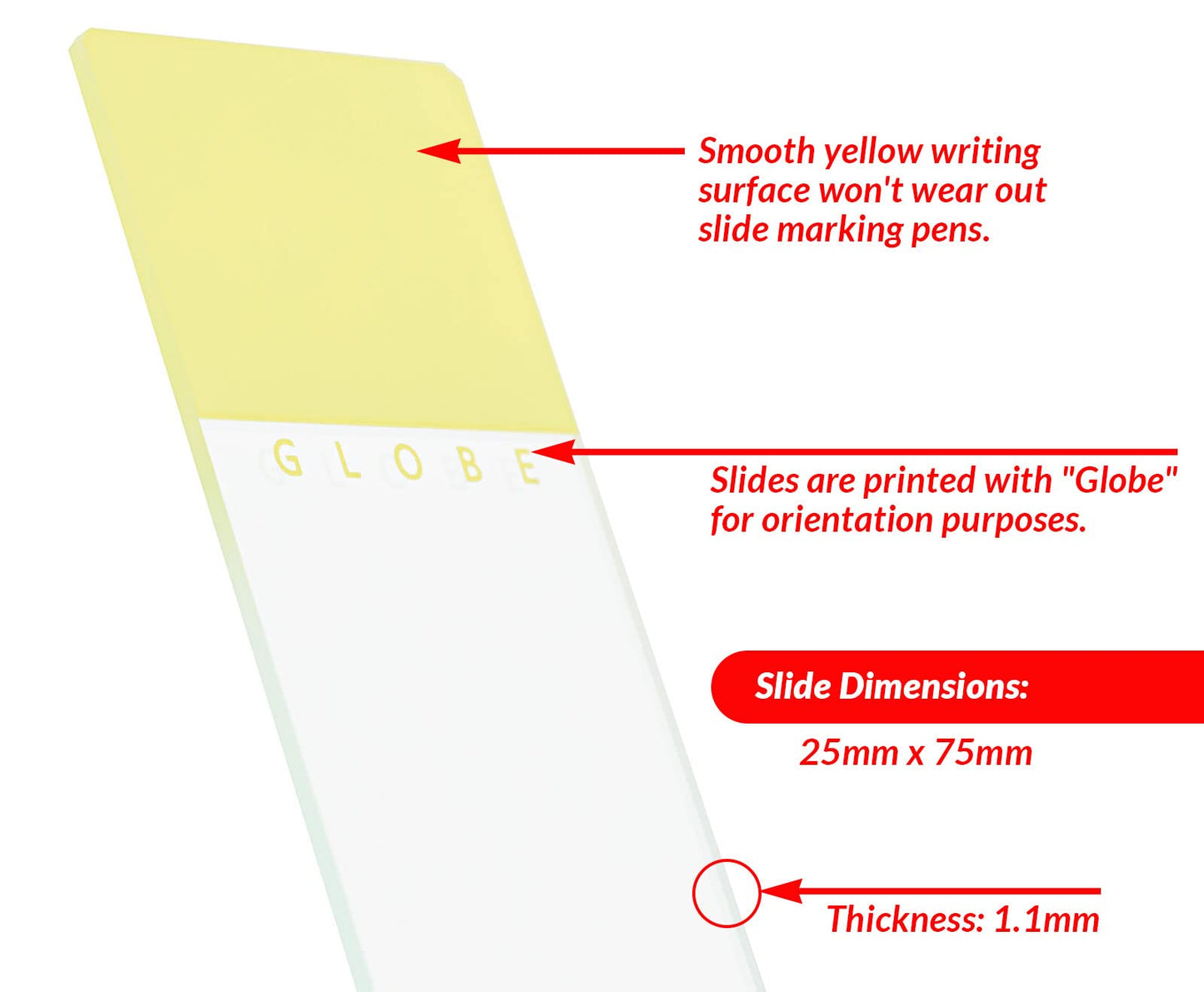 Globe Scientific 1324Y Glass Microscope Slide, 25 x 75mm Size, Ground Edges with Safety Corners, Yellow Frosted (1,440 slides)