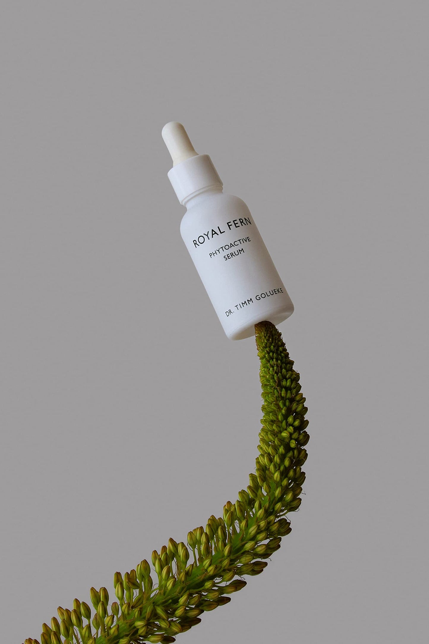 ROYAL FERN DR TIMM GOLUEKE