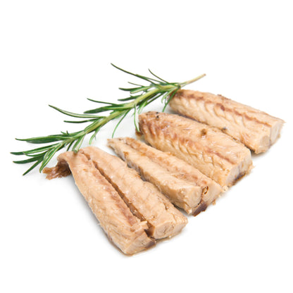 Sanniti Mackerel Fillets in a Rich Tomato Sauce | Super Food | High in Protein | High in Omega 3, 4.4 oz (Pack of 3)