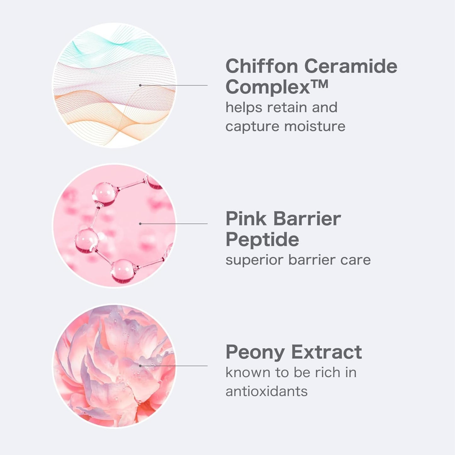 O HUI Miracle Moisture Ceramide Boosting Cream | 24hrs Moisturizing Power | Korean Skin Care | Moisturizer Face Cream | Daily Cream | Ceramides, Glycerin, Shea Butter | Glass Skin | All Skin Types