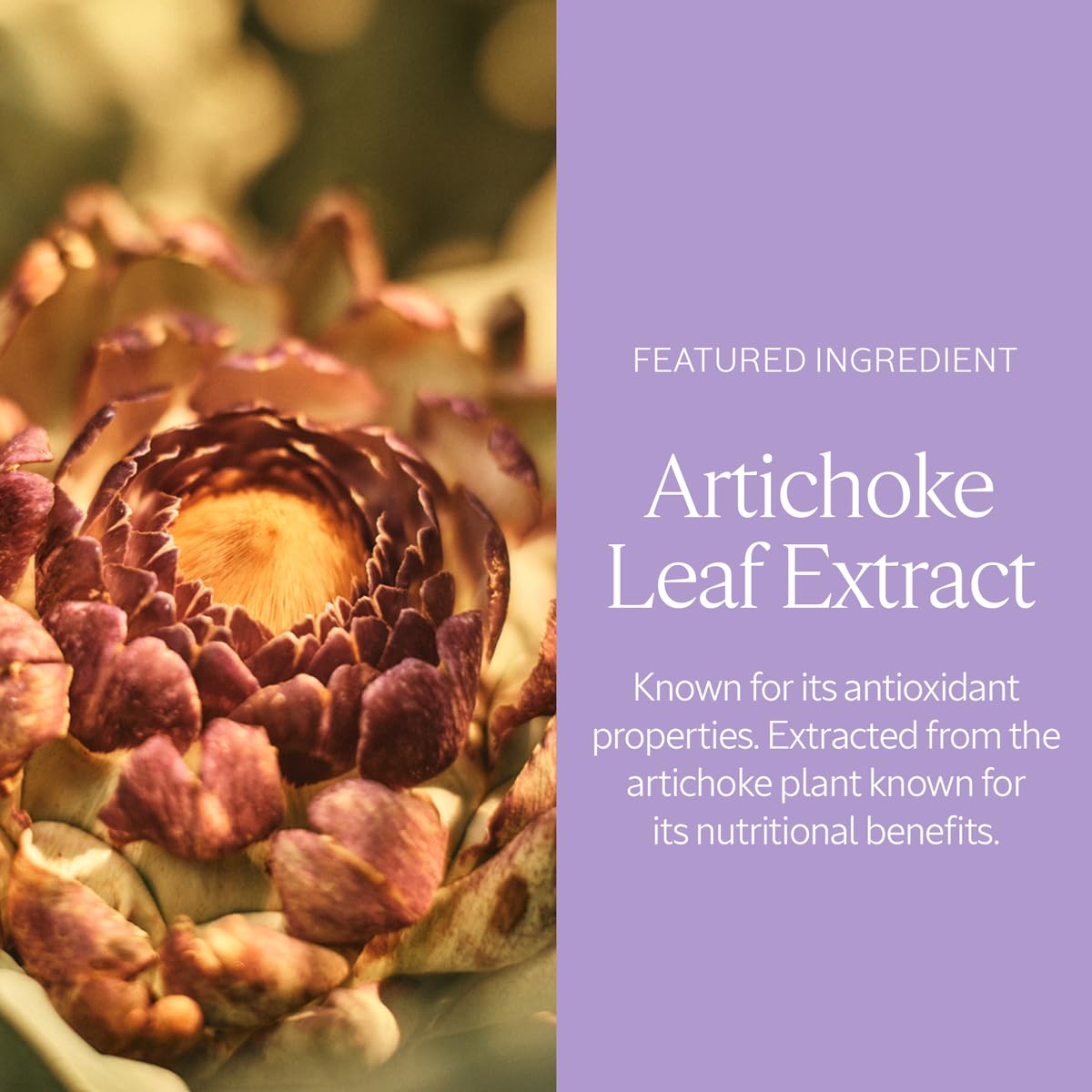 L'Occitane Artichoke Body Scrub 7.00 fl oz