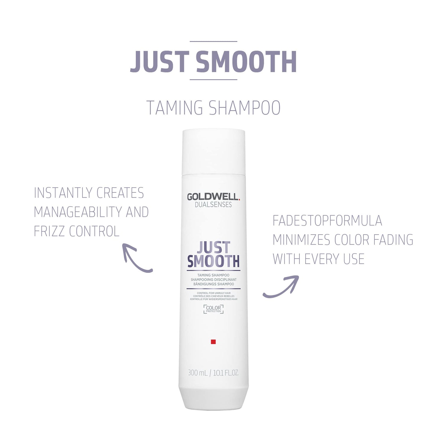 Goldwell Dualsenses Just Smooth Taming Anti-Frizz & Humidity Control Shampoo