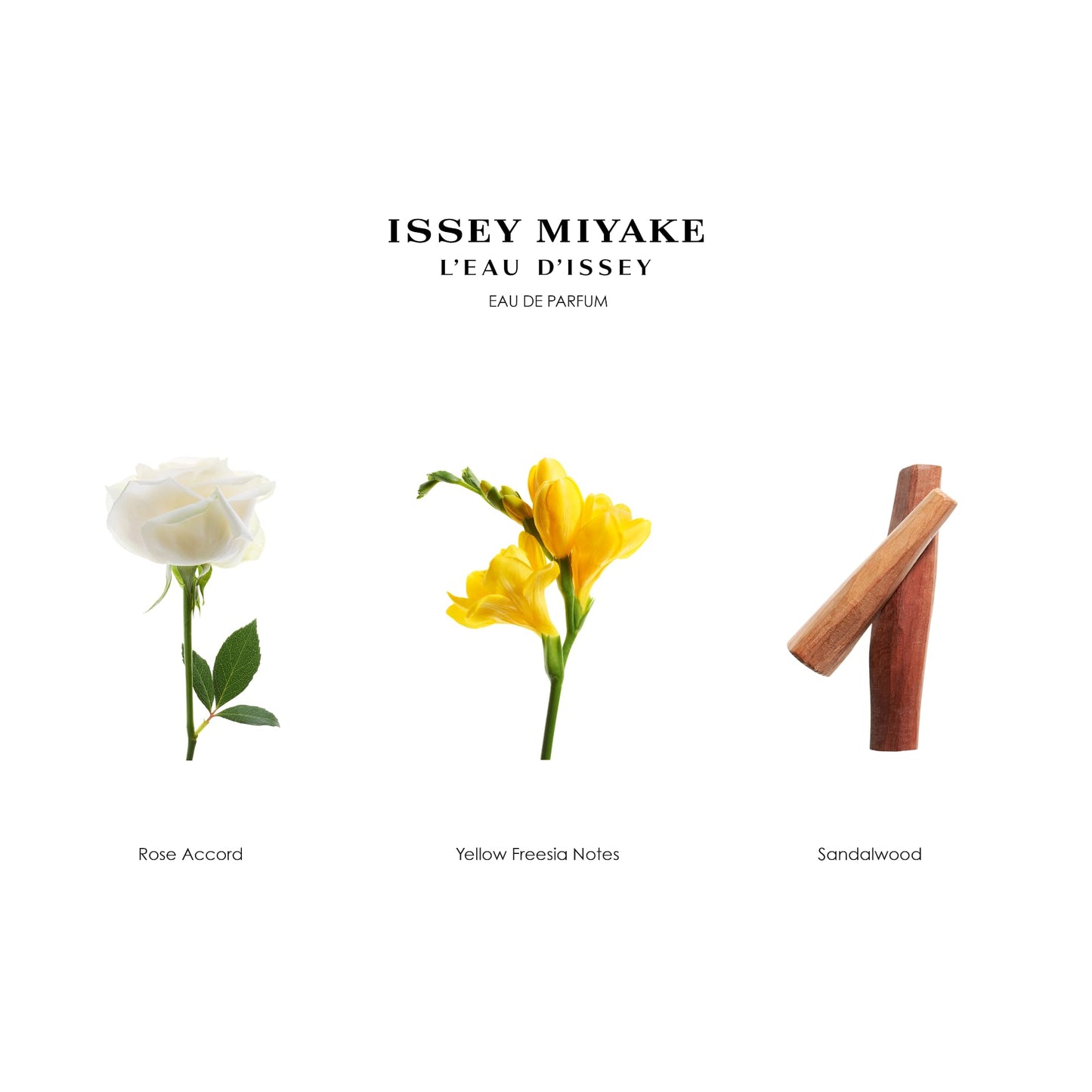 Issey Miyake L'Eau D'Issy For Women Moisturising Body Lotion 6.7 oz