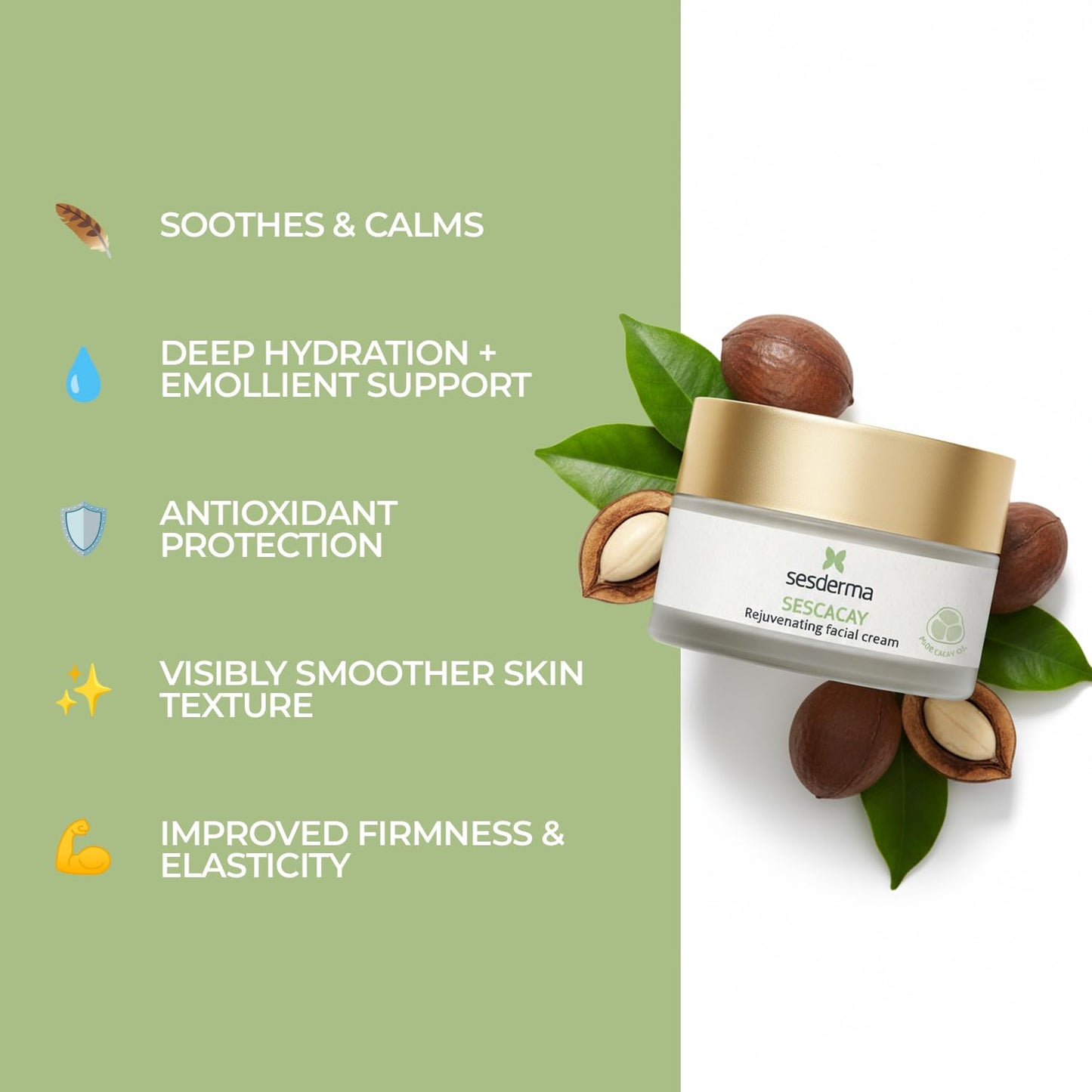 Sesderma SESCACAY Rejuvenating Facial Cream, Anti-Aging Treatment with Cacay Oil and HP Retinoate, for All Skin Types, Premium Beauty, 1.7 Fl Oz
