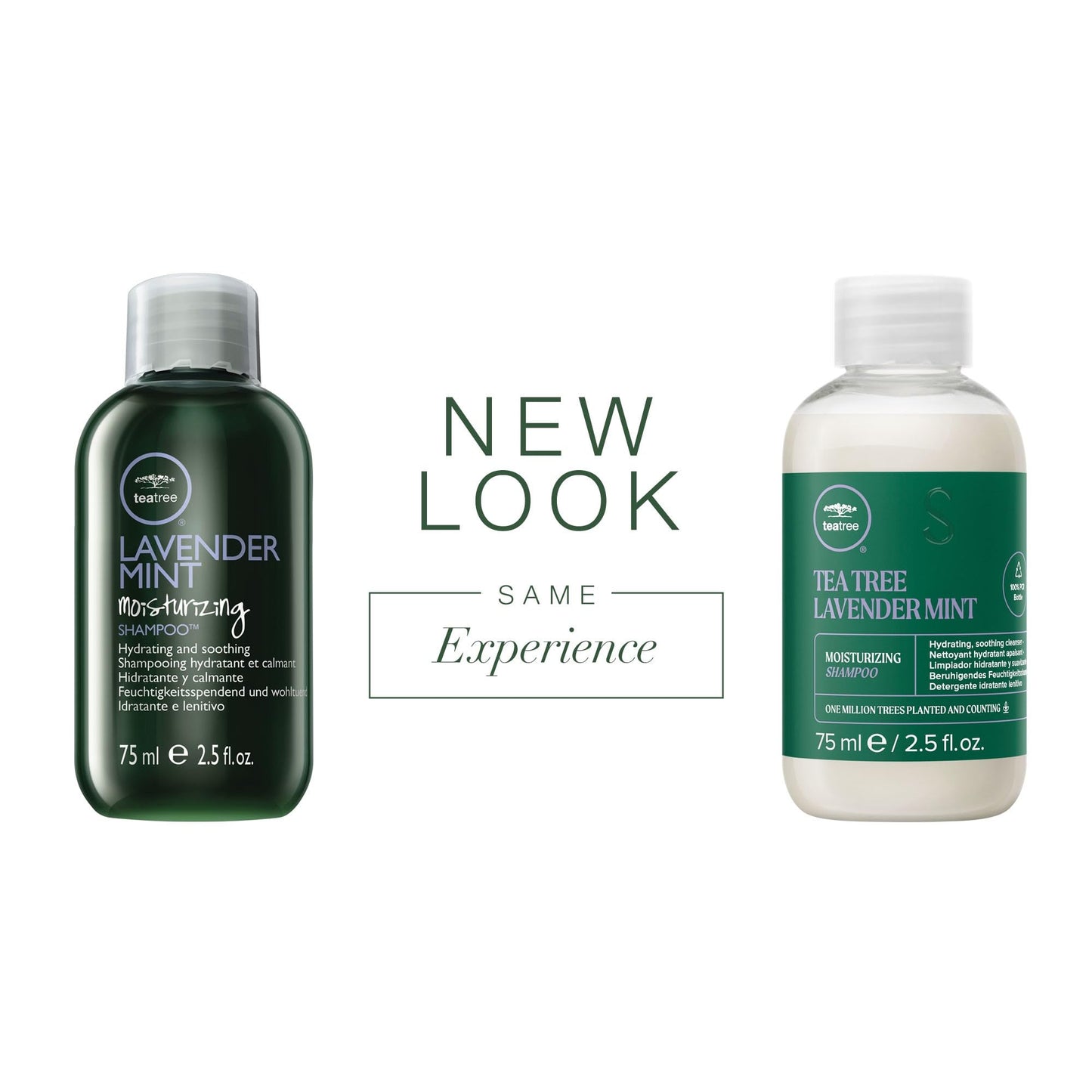 Tea Tree Lavender Mint Moisturizing Shampoo, Hydrates + Soothes, For Coarse + Dry Hair