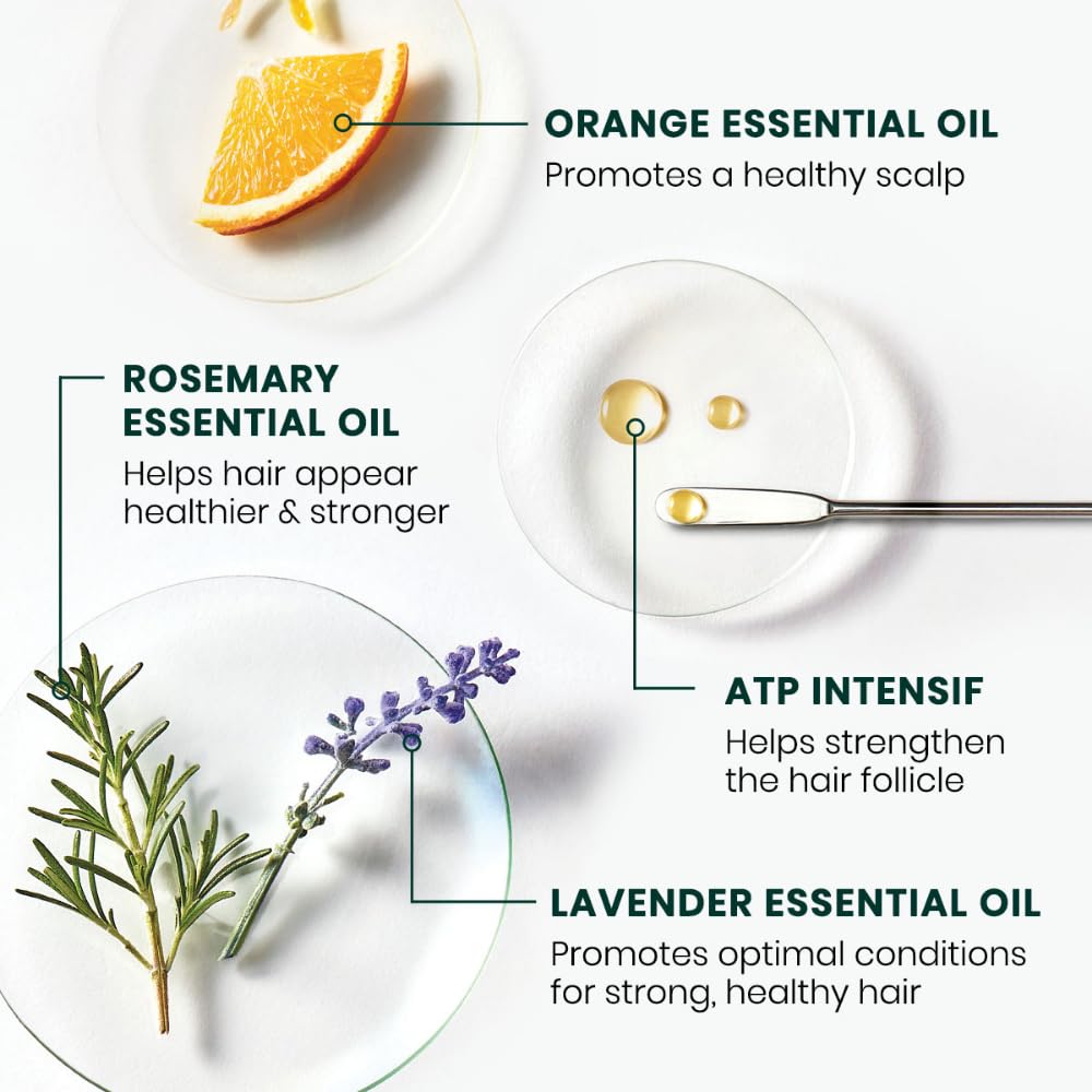 Rene Furterer Forticea Strengthening Revitalizing Shampoo - Energize Scalp with Rosemary Essential Oil, and Niacinamide - Sulfate, Paraben, Silicone-Free - Gentle Formula for Daily Use