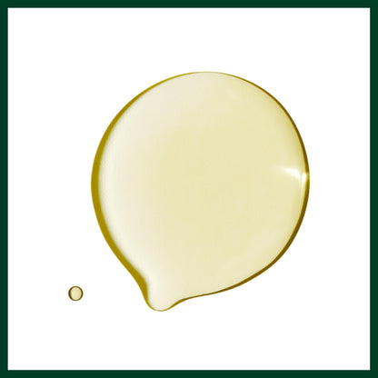 Aveda Dry Remedy Daily Moisturizing Oil | Instantly Moisturizes Dry, Brittle Hair | 90% Naturally Derived* | Organic Buriti Oil | Silicone Free, 1 Fl Oz