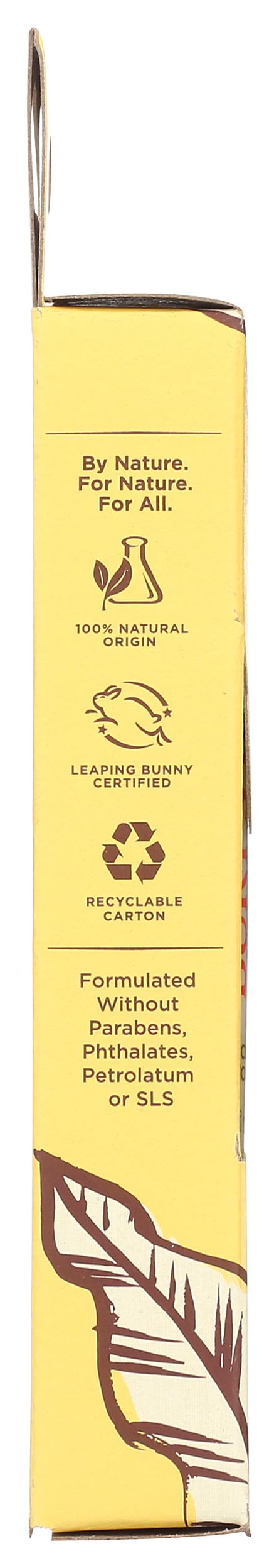 BURTS BEES Clear Shea & Hyaluronic Acid Plumping Lip Serum, 0.27 FZ