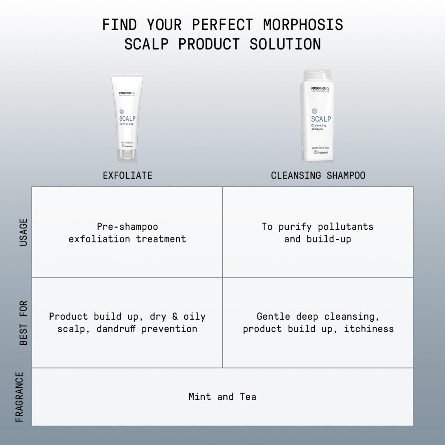 FRAMESI Morphosis Scalp Exfoliate, 5.1 fl oz, Scalp Exfoliator, Pre-shampoo Scalp Treatment