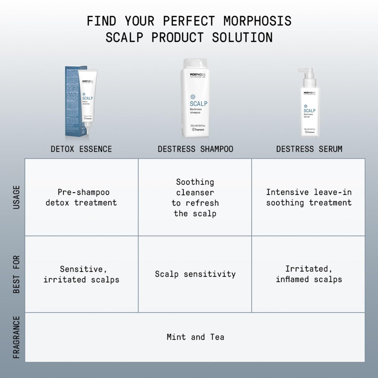 FRAMESI Morphosis Scalp Exfoliate, 5.1 fl oz, Scalp Exfoliator, Pre-shampoo Scalp Treatment