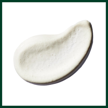 Aveda Botanical Kinetics Radiant Skin Refiner | Clay-Based Facial Scrub | Exfoliates & Energizes Skin | with Tourmaline, 3.4 Fl Oz