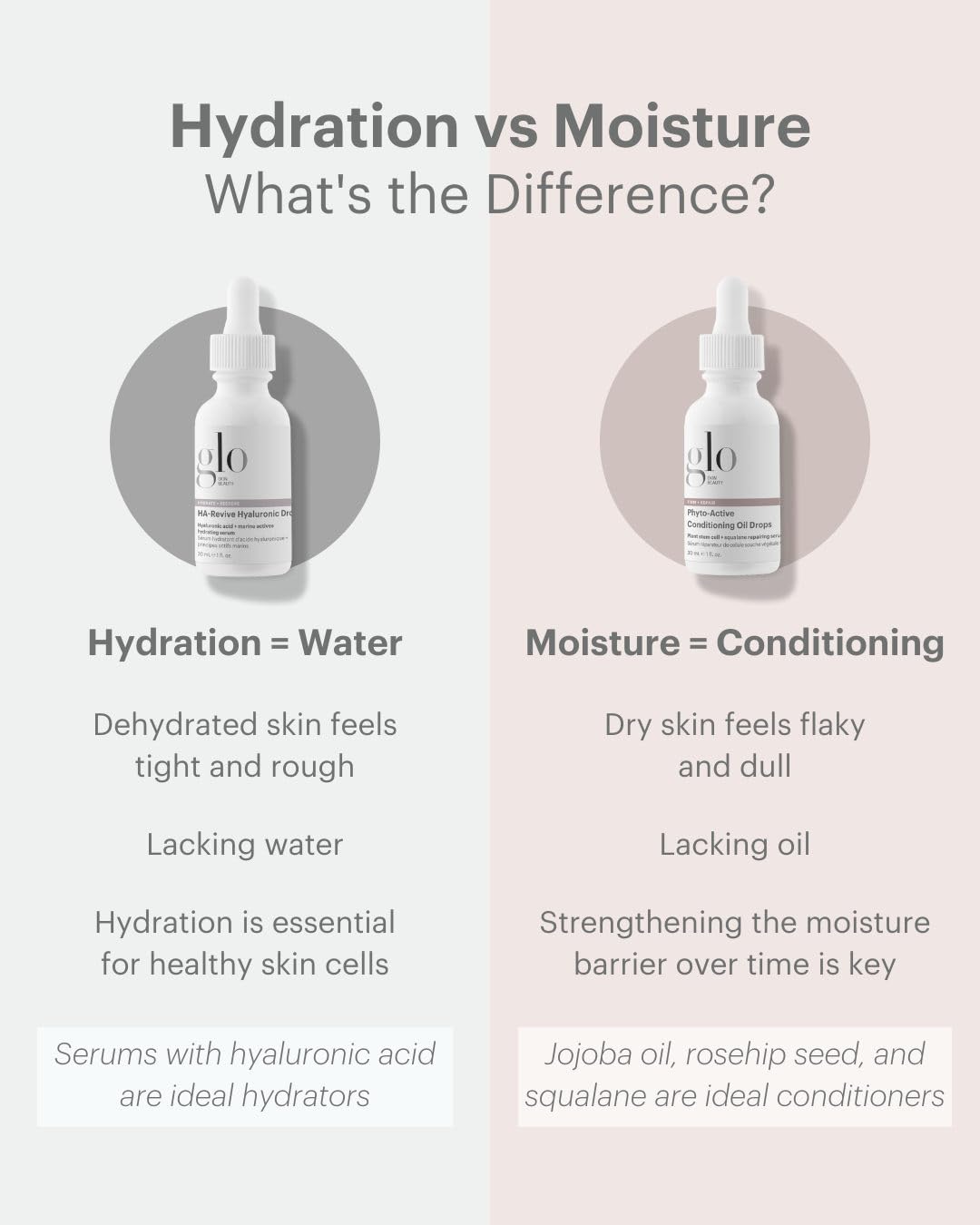 Glo Skin Beauty Phyto-Active Conditioning Oil Drops | Rejuvenate and Repair Skin’s Natural Elasticity