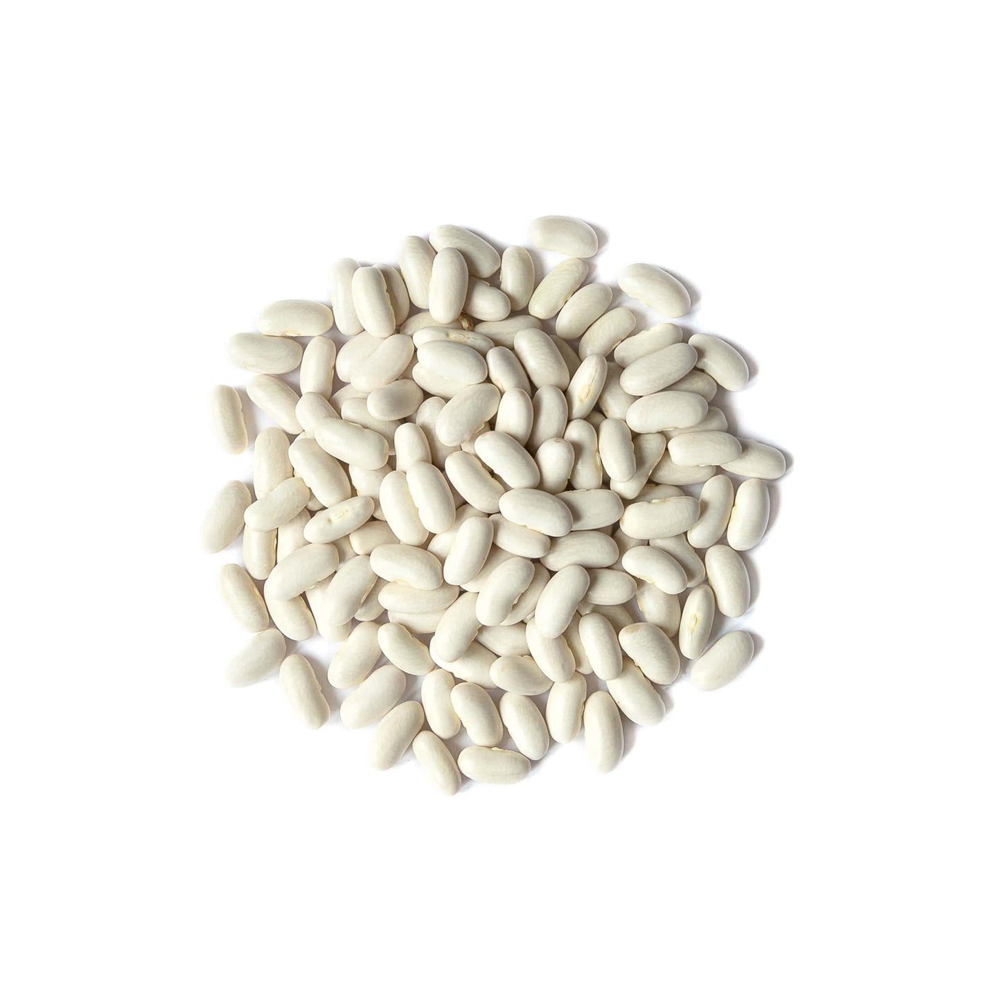 Food to Live - Cannellini Beans, 1 Pound Dried White Kidney Beans, Sproutable, Vegan, Kosher, Sirtfood, Bulk. Rich in Fiber, Protein. Great for Minestrone Soup, Bean Salad, Stews, White Chili.