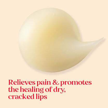 Burt's Bees Cold Sore Treatment and Medicated Lip Balm, With Menthol and Eucalyptus Oil, Natural Origin Skincare, 2 Tubes, 0.07 oz./0.15 oz.