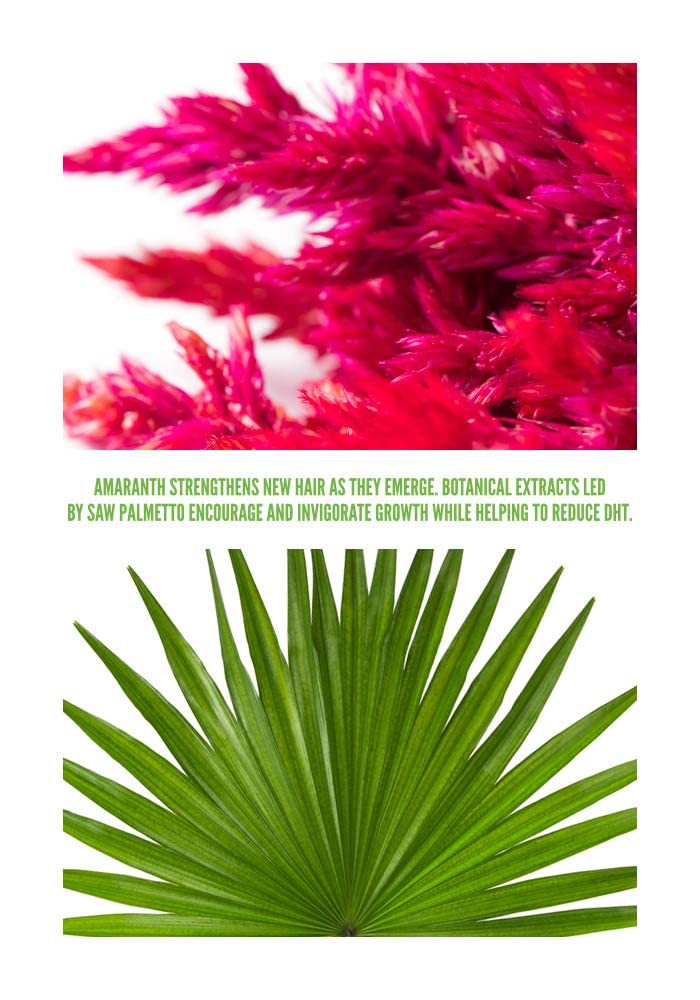Surface Hair - Awaken Therapeutic Treatment - Natural Ingredients for Thinning Hair and a Healthy Scalp