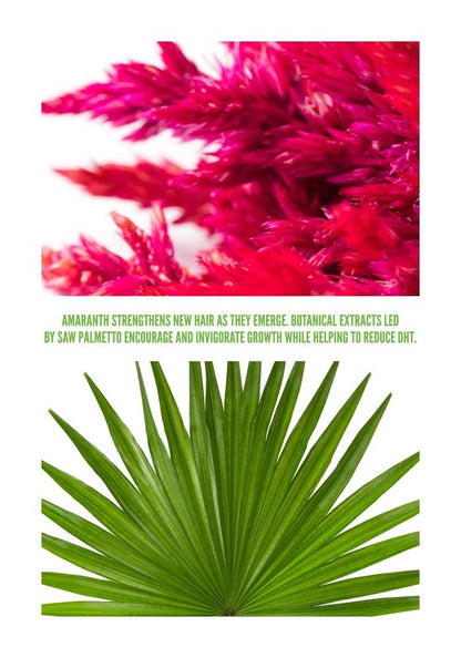 Surface Hair - Awaken Therapeutic Treatment - Natural Ingredients for Thinning Hair and a Healthy Scalp