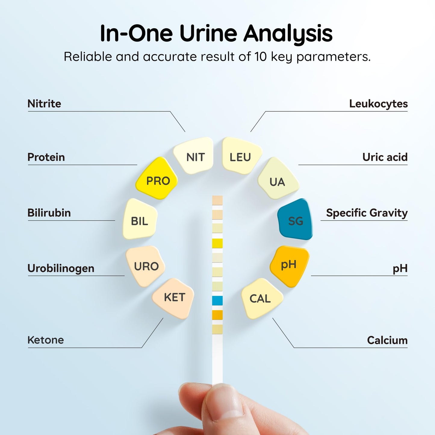 10-in-1 Urine Test Strips, UTI Test Strips for Urinalysis Full Panel, Ketone Test Kit at Home, 100 Count