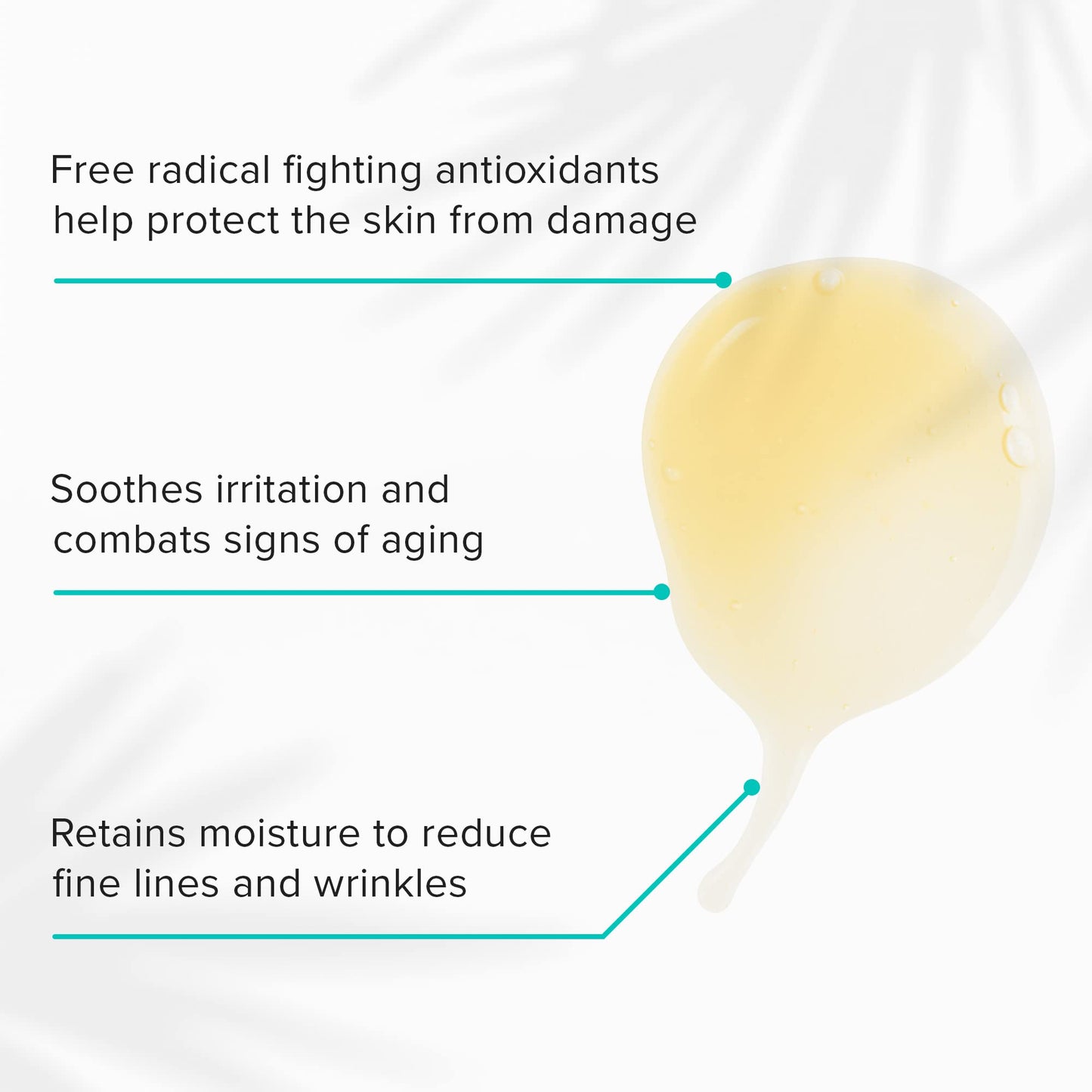 ClarityRx Take Care Daily Antioxidant Red Tea Face Serum, Natural Plant-Based Hydrating & Anti-Aging Facial Treatment for Environmental Protection