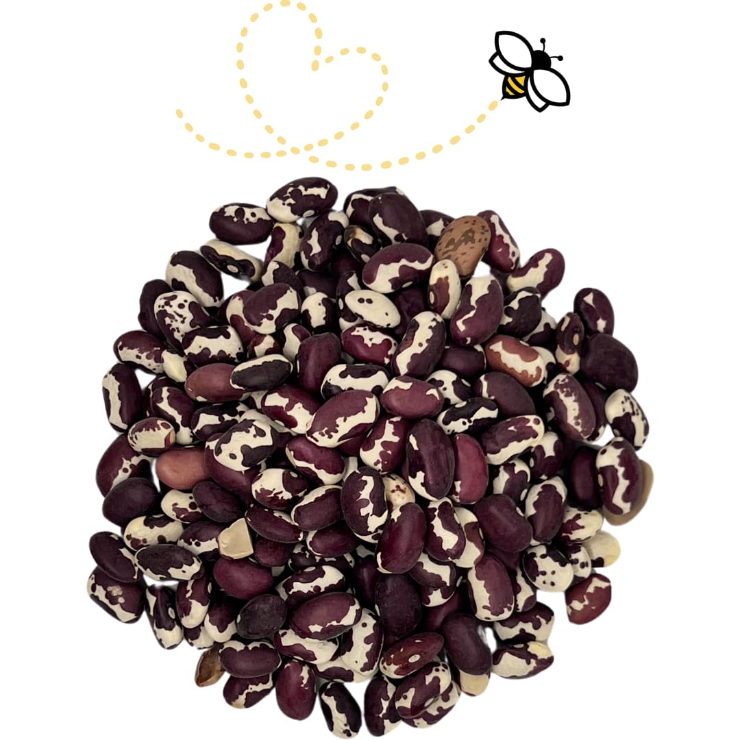 Raw Essentials Heirloom Anasazi Beans - Chili, Refried Beans, Soups and Stews - Non-GMO, Gluten Free, Vegan and Paleo - 24 Ounce Bag
