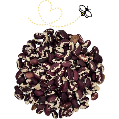 Raw Essentials Heirloom Anasazi Beans - Chili, Refried Beans, Soups and Stews - Non-GMO, Gluten Free, Vegan and Paleo - 24 Ounce Bag
