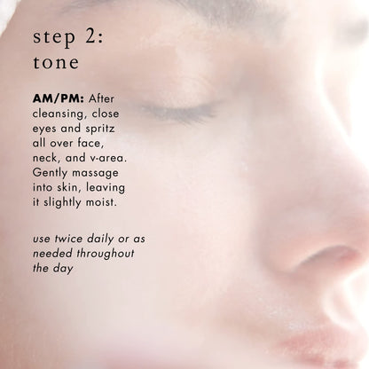 Bioelements 3-Step Starter Set: Oily Skin - Includes Decongestant Cleanser, Equalizer Toner & Beyond Hydration Moisturizer