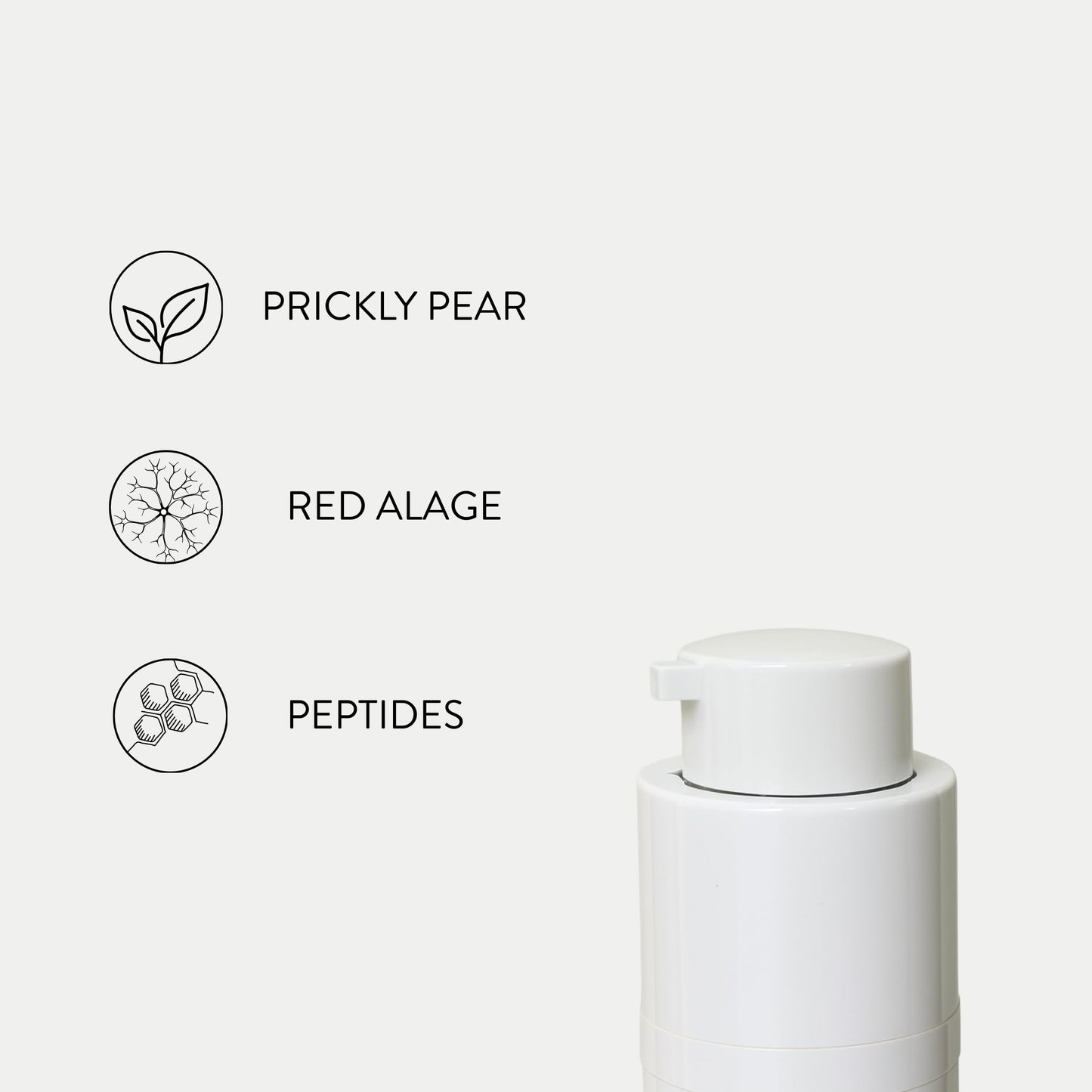 Nurse Jamie FormuL.A. Face Cream – Anti-Aging Moisturizer for Fine Lines, Wrinkles & Skin Firmness with Peptides & Prickly Pear