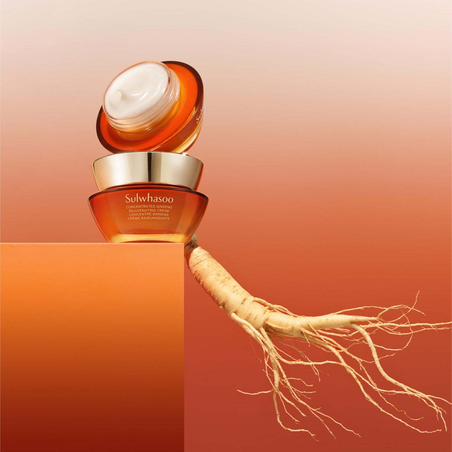 Sulwhasoo Concentrated Ginseng Rejuvenating Cream – Visibly Plump Skin & Wrinkles | Anti-Aging Deep Hydration Moisturizer with Korean Ginseng Actives, Ginseng Peptide™ & Vitamin C | Korean Skincare
