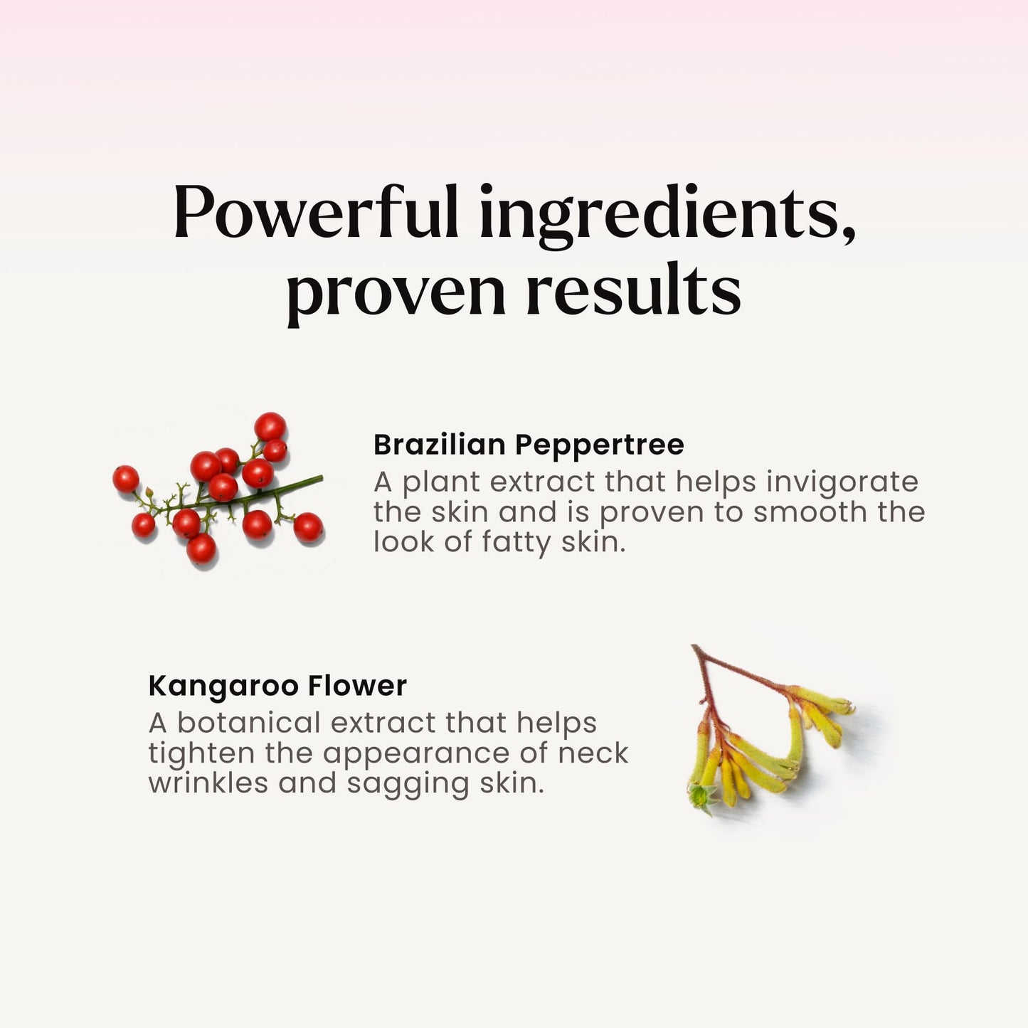 MAËLYS B-POISED Neck Firming Cream - Neck & Décolleté Firming, Tightening, and Anti-Aging Cream for Wrinkles with Brazilian Peppertree, Linoleic Acid, and Kangaroo Flower (1.7 Fl Oz)